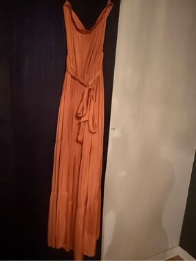 Naked Zebra Rust Orange Sleeveless Maxi Dress with Waist Tie